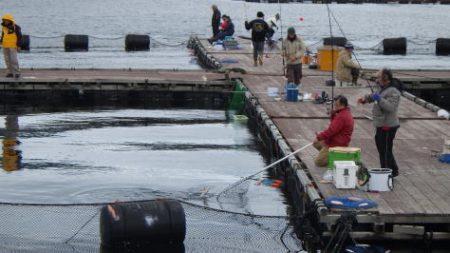 淡路じゃのひれフィッシングパーク 釣果