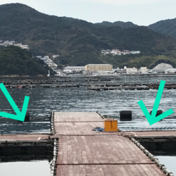 淡路じゃのひれフィッシングパーク 釣果