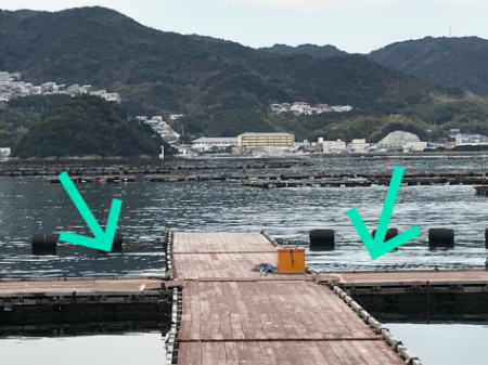 淡路じゃのひれフィッシングパーク 釣果