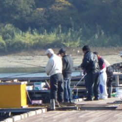 淡路じゃのひれフィッシングパーク 釣果