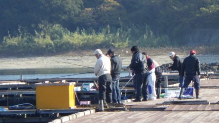 淡路じゃのひれフィッシングパーク 釣果