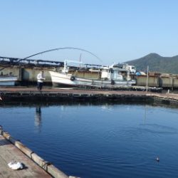 淡路じゃのひれフィッシングパーク 釣果