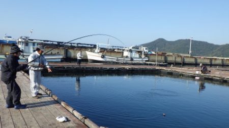 淡路じゃのひれフィッシングパーク 釣果