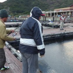 淡路じゃのひれフィッシングパーク 釣果