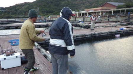 淡路じゃのひれフィッシングパーク 釣果