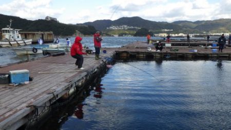 淡路じゃのひれフィッシングパーク 釣果