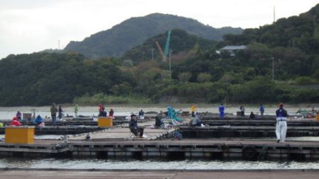 淡路じゃのひれフィッシングパーク 釣果