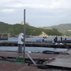 淡路じゃのひれフィッシングパーク 釣果