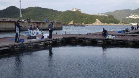 淡路じゃのひれフィッシングパーク 釣果