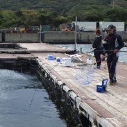 淡路じゃのひれフィッシングパーク 釣果