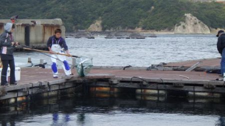 淡路じゃのひれフィッシングパーク 釣果