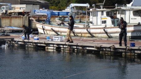 淡路じゃのひれフィッシングパーク 釣果
