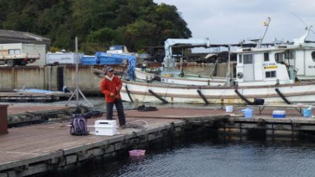 淡路じゃのひれフィッシングパーク 釣果