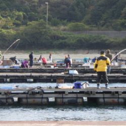 淡路じゃのひれフィッシングパーク 釣果