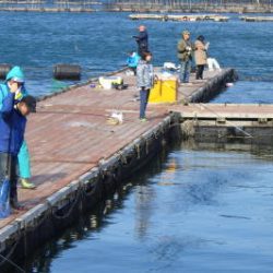 淡路じゃのひれフィッシングパーク 釣果