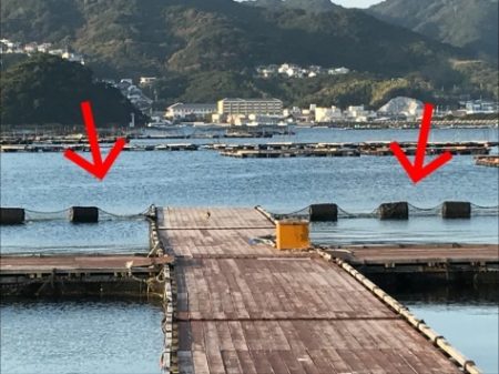 淡路じゃのひれフィッシングパーク 釣果