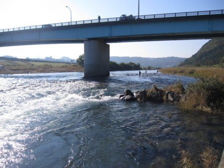 狩野川(狩野川漁業協同組合) 釣果