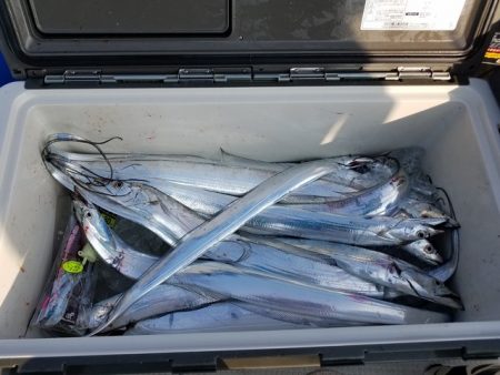 遊漁船　ニライカナイ 釣果