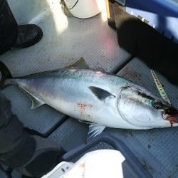 IDATEN(イダテン) 釣果