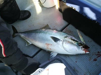 IDATEN(イダテン) 釣果