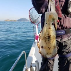 Magic(マジック) 釣果