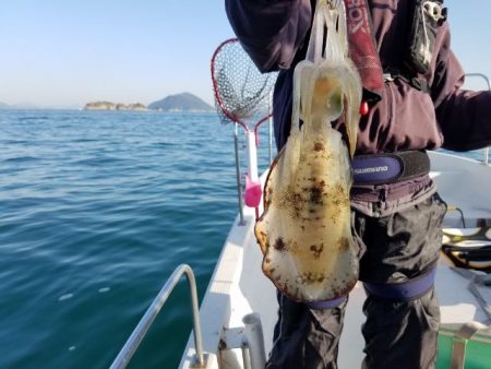 Magic(マジック) 釣果