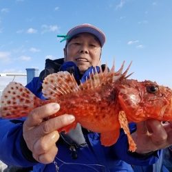 しまや丸 釣果