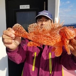 しまや丸 釣果