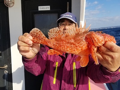 しまや丸 釣果