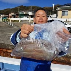 しまや丸 釣果