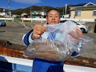 しまや丸 釣果