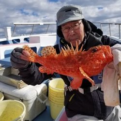 しまや丸 釣果