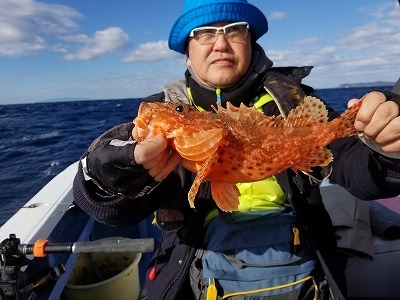 しまや丸 釣果