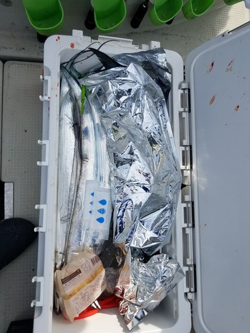 遊漁船　ニライカナイ 釣果