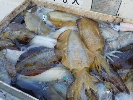 Magic(マジック) 釣果