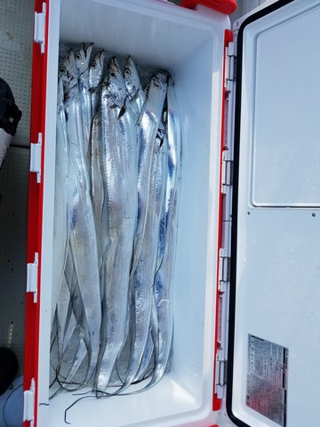 遊漁船　ニライカナイ 釣果