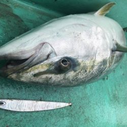 広進丸 釣果