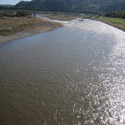 狩野川(狩野川漁業協同組合) 釣果