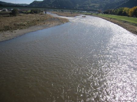 狩野川(狩野川漁業協同組合) 釣果