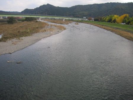 狩野川(狩野川漁業協同組合) 釣果