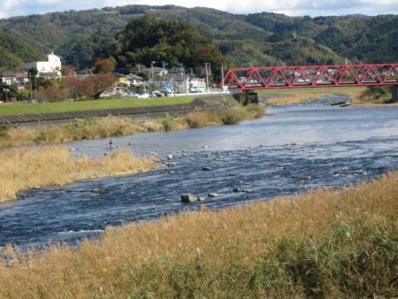 狩野川(狩野川漁業協同組合) 釣果