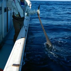 あき丸 釣果