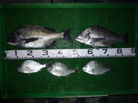 海山フィッシングセンター 釣果