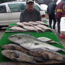 カタタのつり堀 釣果