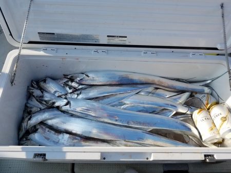 遊漁船　ニライカナイ 釣果