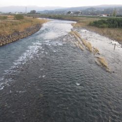 狩野川(狩野川漁業協同組合) 釣果