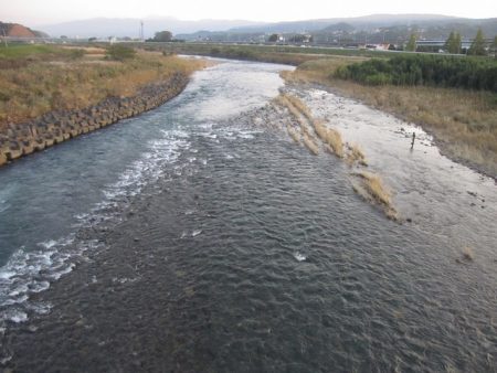 狩野川(狩野川漁業協同組合) 釣果