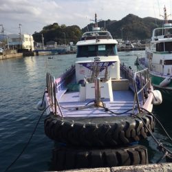 鵜来島家本渡船 釣果