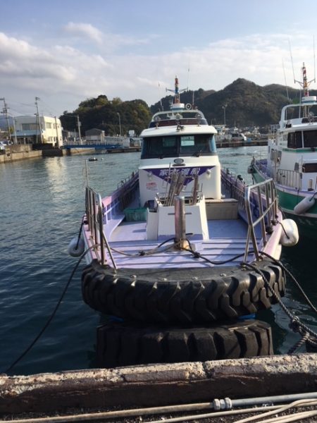 鵜来島家本渡船 釣果