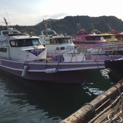 鵜来島家本渡船 釣果